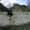 Défrichement du mur d'Abbecourt