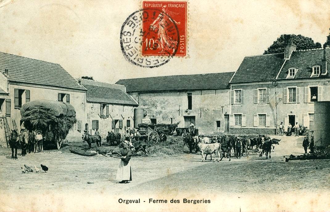 421 ferme bergeries vaches