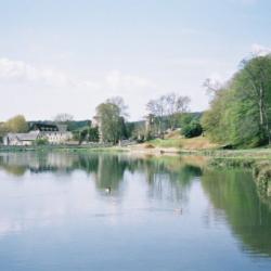 Abbaye de Mortemer - 2002
